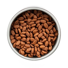 Ração Guabi Natural para Cães Adultos de Raças Médias sabor Cordeiro & Aveia