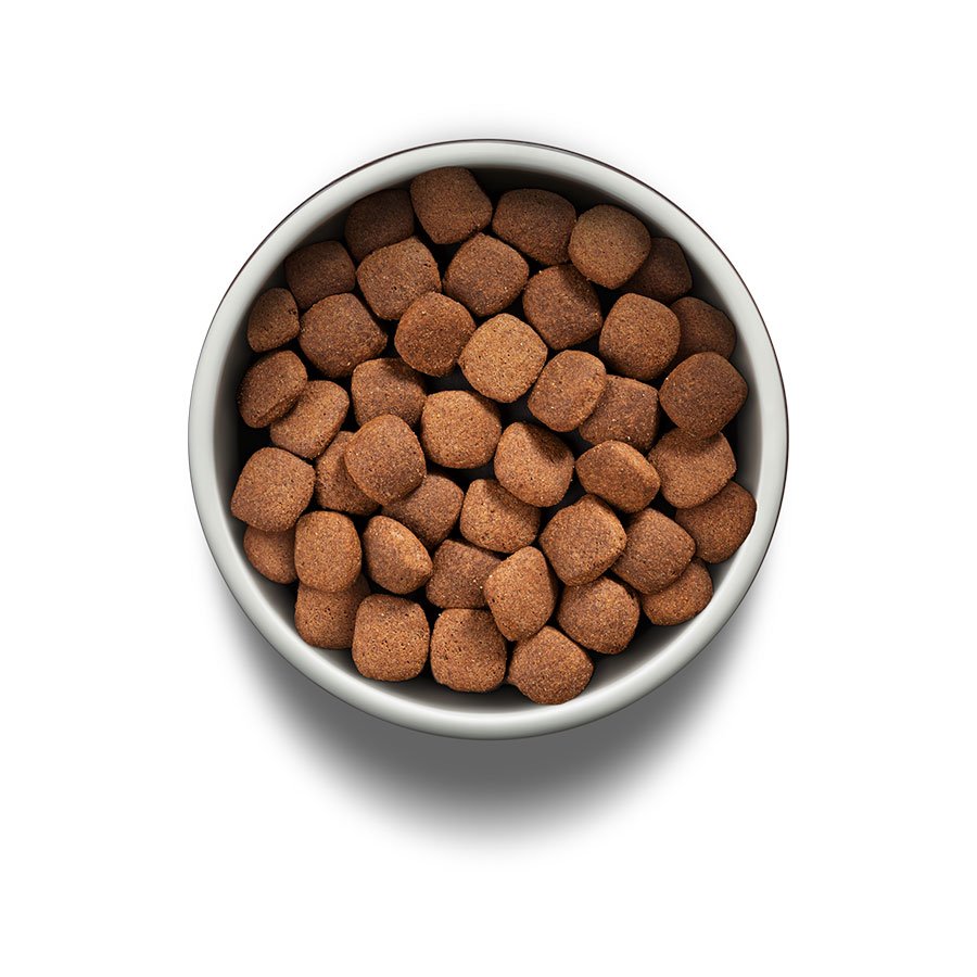 Ração Guabi Natural para Cães Adultos de Porte Grande e Gigante Sabor Frango e Arroz Integral