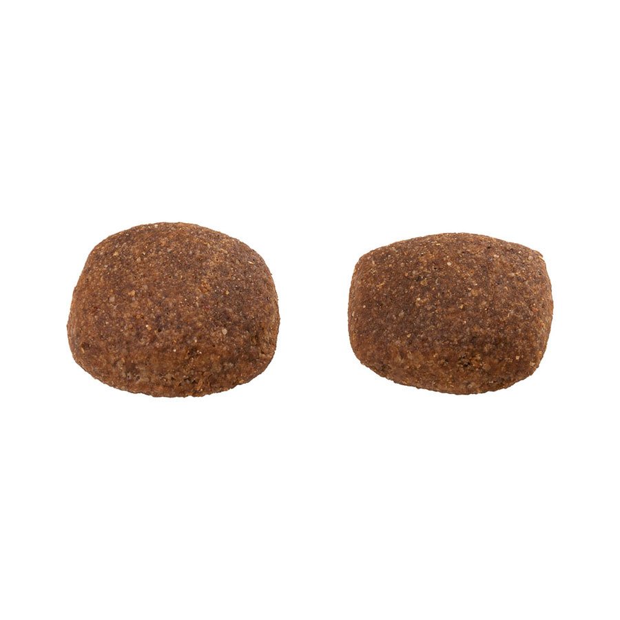 Ração Guabi Natural para Cães Adultos de Porte Grande e Gigante Sabor Frango e Arroz Integral