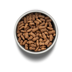 Ração Guabi Natural para Cães Adultos de Porte Grande e Gigante Sabor Salmão e Cevada - 12kg