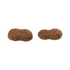 Ração Guabi Natural para Cães Adultos de Porte Grande e Gigante Sabor Salmão e Cevada - 12kg