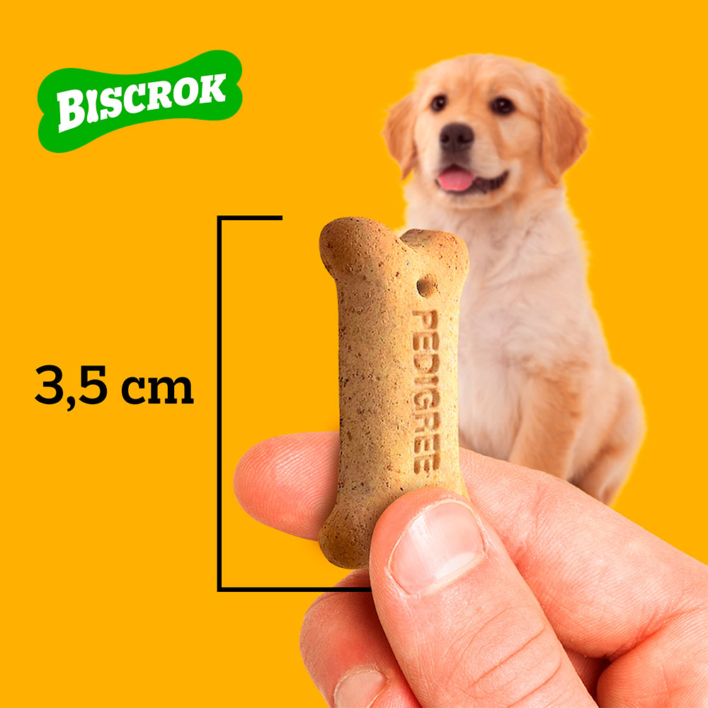 Biscoito Pedigree Biscrok Junior para Cães Filhotes - 300g