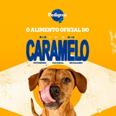 Biscoito Pedigree Biscrok Junior para Cães Filhotes - 300g