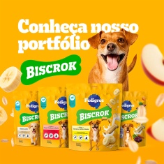 Biscoito Pedigree Biscrok Junior para Cães Filhotes - 300g