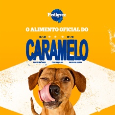Biscoito Pedigree Marrobone Carne Para Cães Adultos