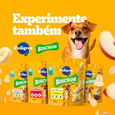 Biscoito Pedigree Marrobone Carne Para Cães Adultos