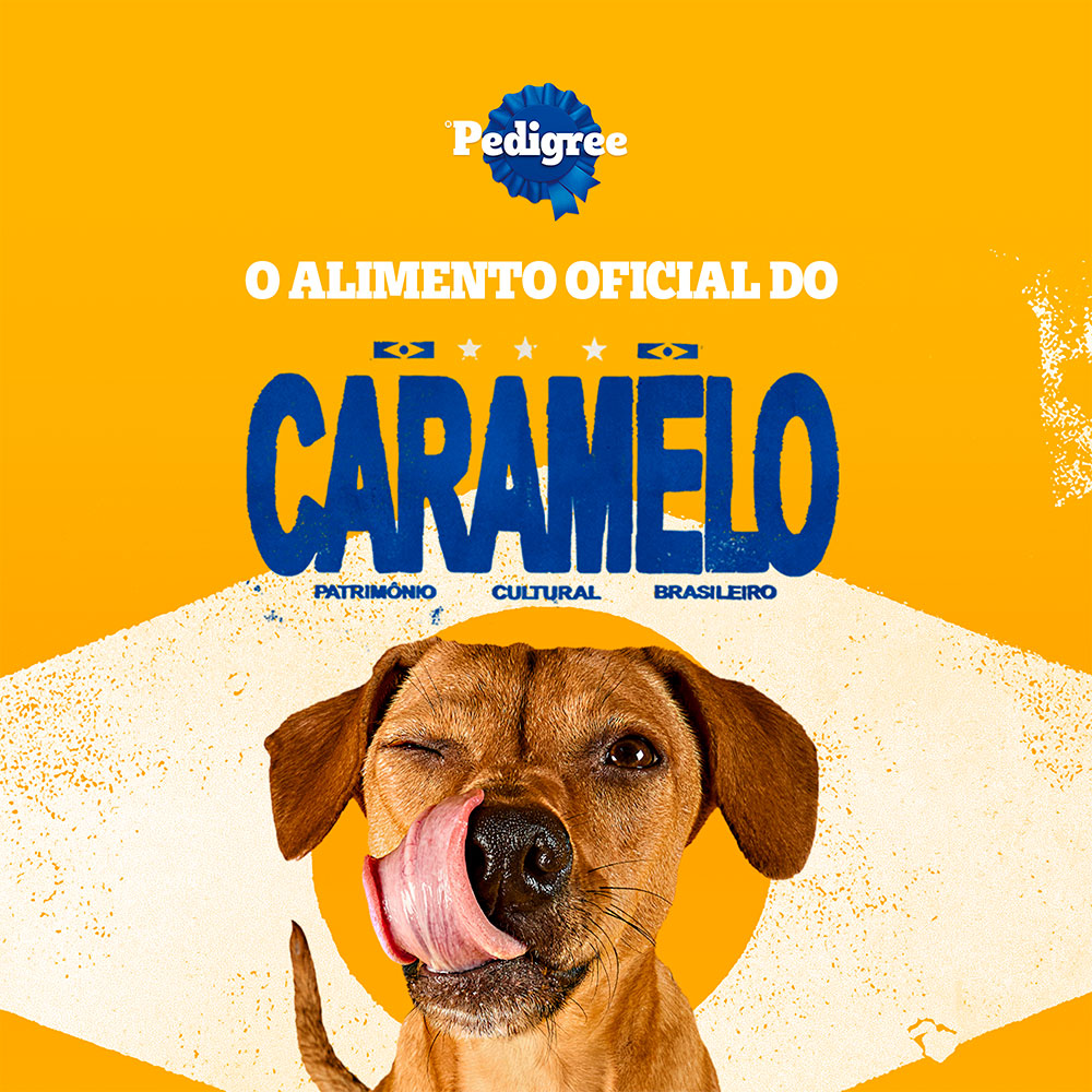 Biscoito Pedigree Biscrok Mini para Cães Adultos de Raças Pequenas