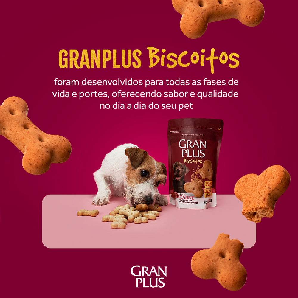 Biscoito GranPlus Sabor Carne para Cães Adultos 300 g