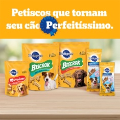 Petisco Pedigree Dentastix Cuidado Oral Para Cães Adultos Raças Médias