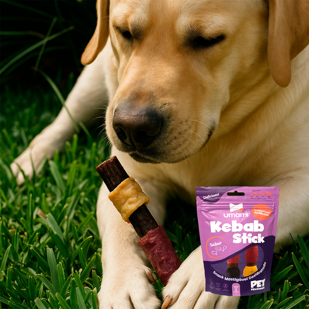 Petisco Umami Kebab Stick para Cães 2 Unidades