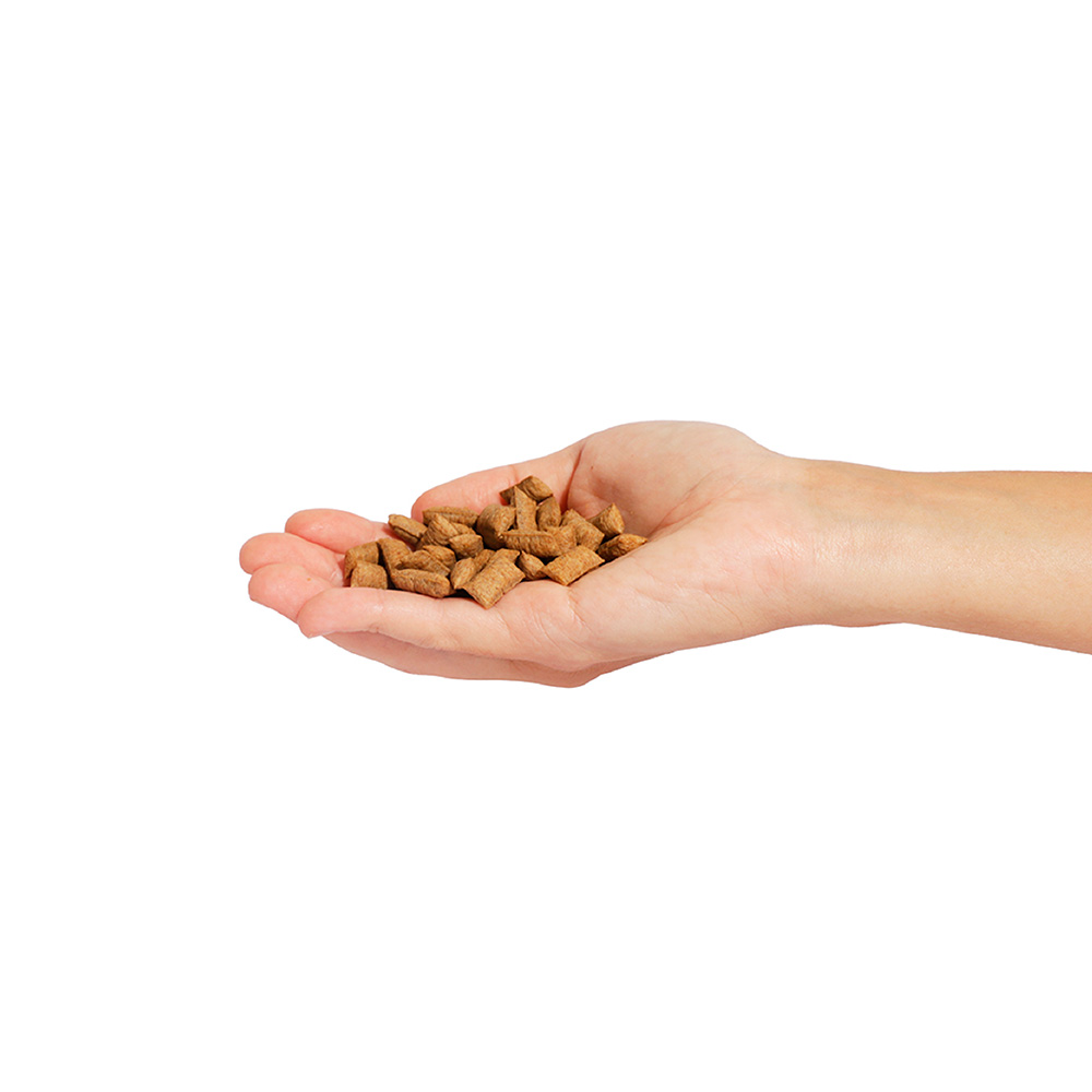 Snack Nutrifresh Bola de Pelos para Gatos Adultos 60 g