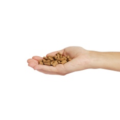 Snack Nutrifresh Cuidado Oral para Gatos Adultos 60 g