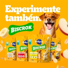 Snack Pedigree Filezitos Bifinho para Cães Adultos Sabor Churrasco