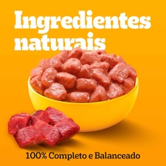 Ração Úmida Pedigree Sachê Cordeiro ao Molho para Cães Adultos de Raças Pequenas 100 g