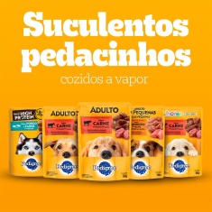 Ração Úmida Pedigree Sachê Frango ao Molho para Cães Filhotes 100 g