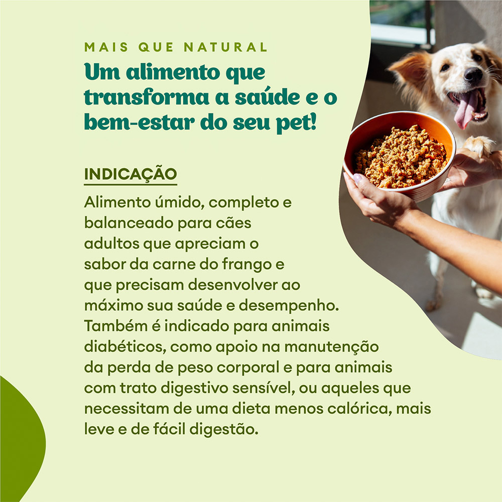 Ração Úmida Natural Pet Delícia Frango com Maçã Light para Cães 320 g