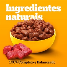 Ração Úmida Pedigree Sachê Carne ao Molho para Cães Filhotes 100 g