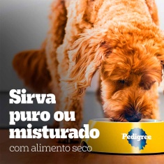 Ração Úmida Pedigree Sachê Frango ao Molho para Cães Adultos 100 g
