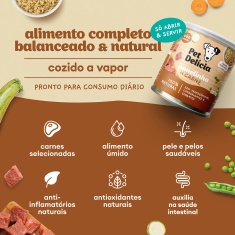 Ração Úmida Natural Pet Delícia Panelinha de Carne para Cães 320 g