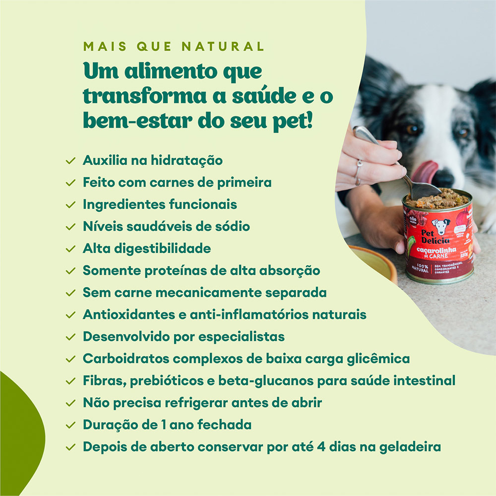 Ração Úmida Natural Pet Delícia Panelinha de Carne para Cães 320 g