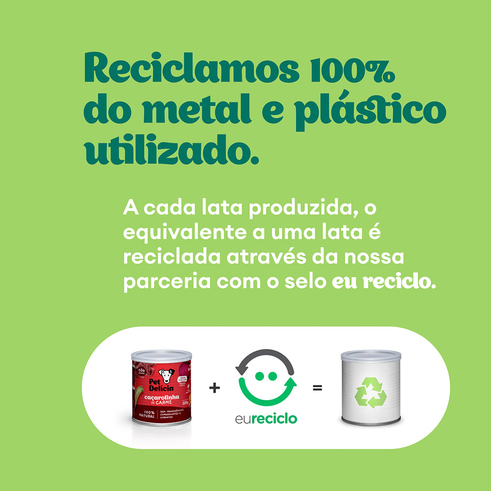 Ração Úmida Natural Pet Delícia Panelinha de Carne para Cães 320 g