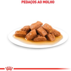 Ração Úmida Royal Canin Sachê Medium Adult Cães Adultos de Porte Médio - 140 g