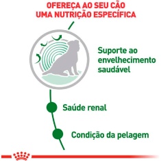 Ração Úmida Royal Canin Sachê Mini Ageing 12+ para Cães Idosos de Porte Pequeno com 12 Anos ou mais - 85 g