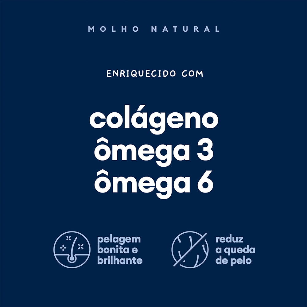 Molho Natural Pet Delícia Carne para Cães 100 g