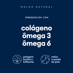Molho Natural Pet Delícia Carne para Cães 100 g