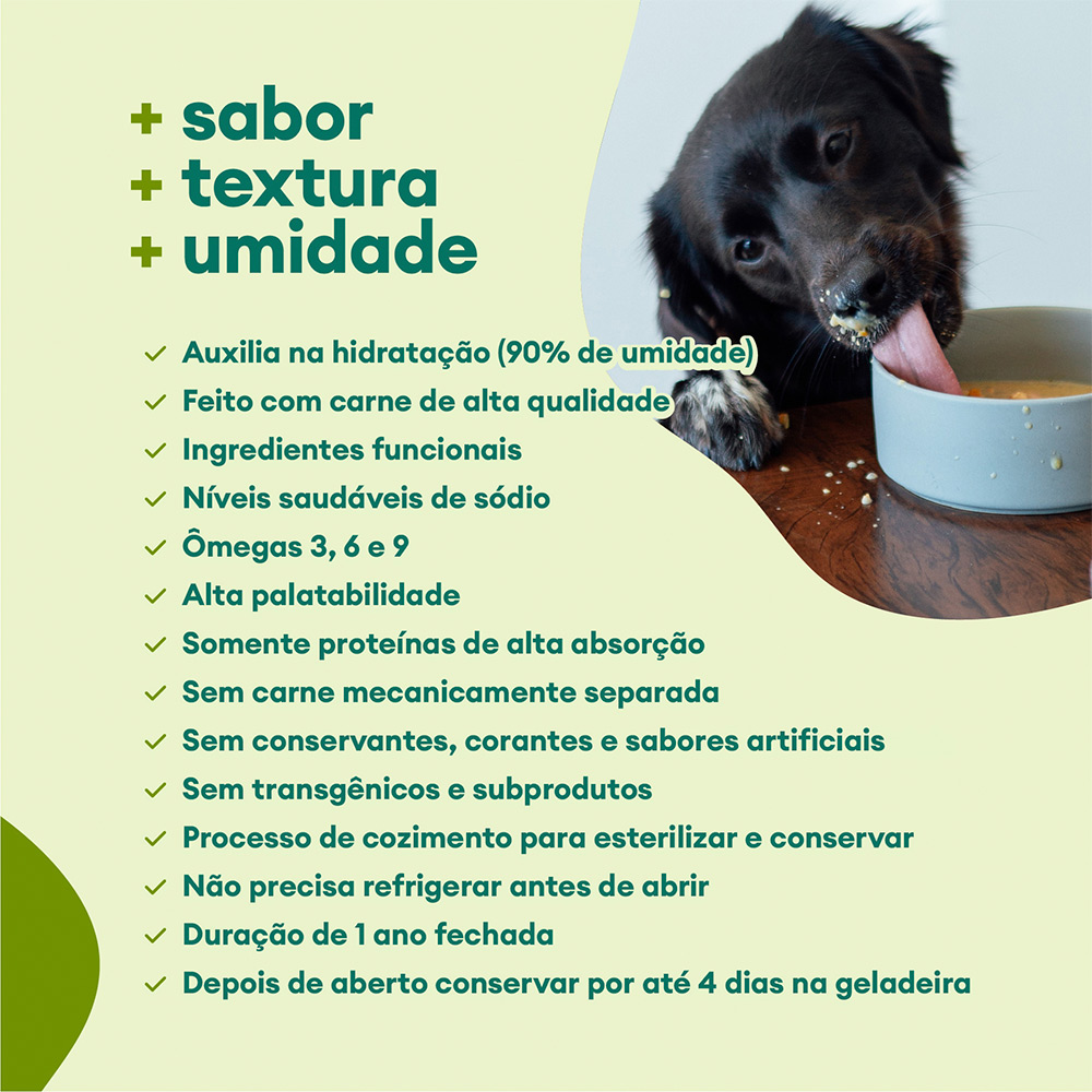 Molho Natural Pet Delícia Carne para Cães 100 g