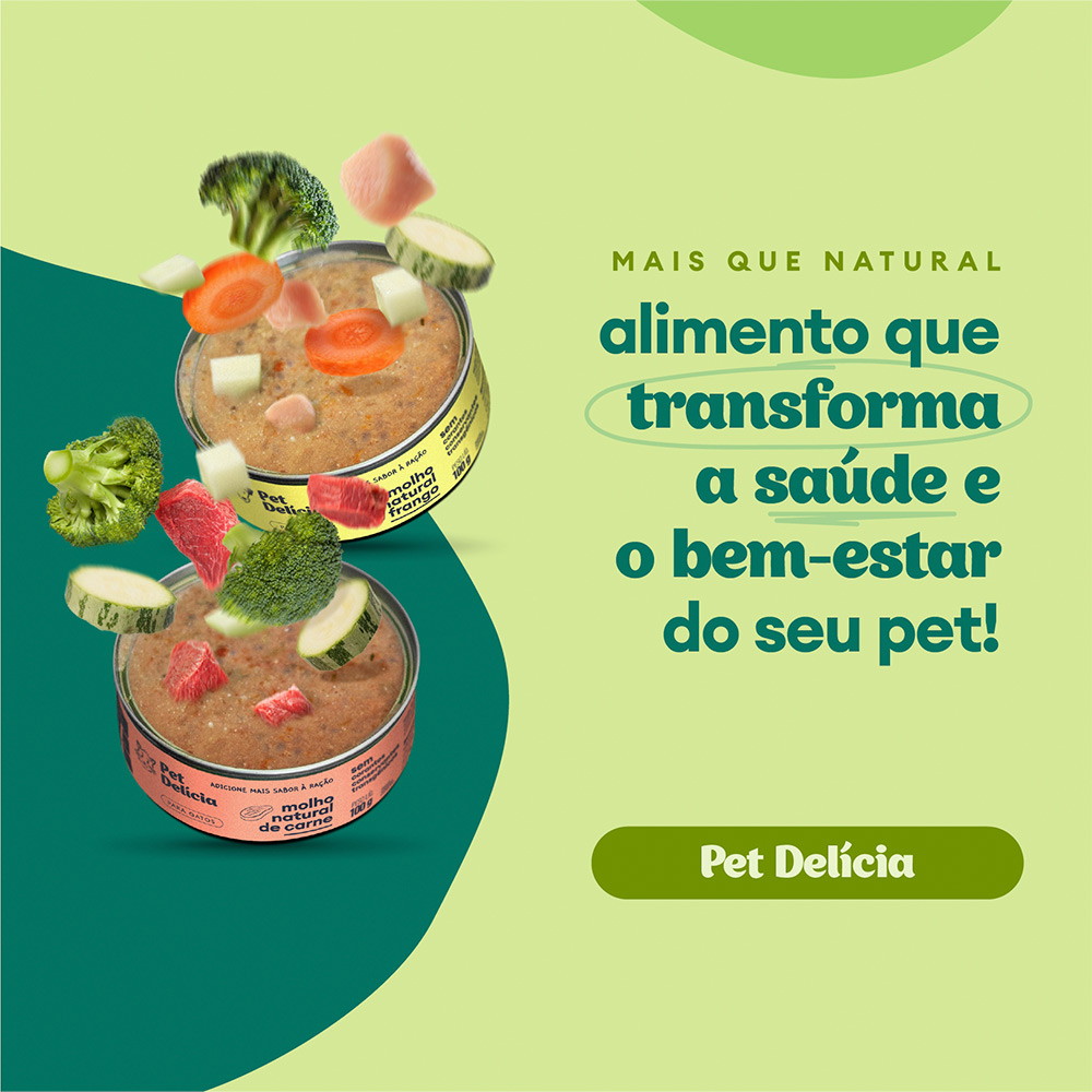 Molho Natural Pet Delícia Carne para Cães 100 g