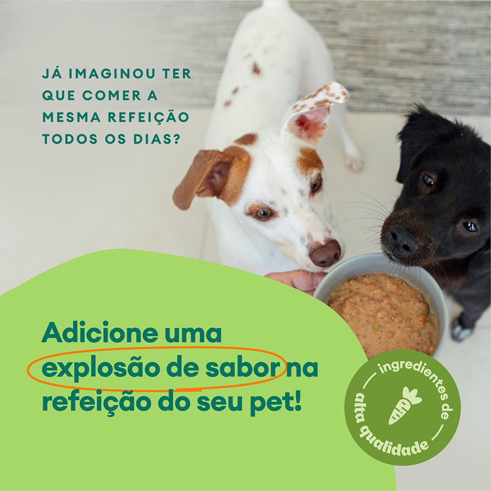 Molho Natural Pet Delícia Carne para Cães 100 g