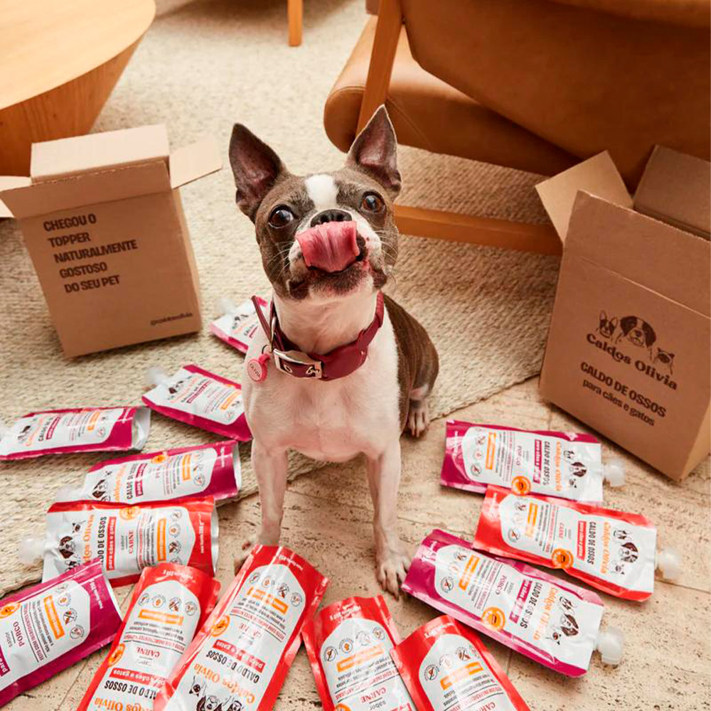 Sachê Caldos Olivia Sabor Carne para Cães e Gatos 250 ml