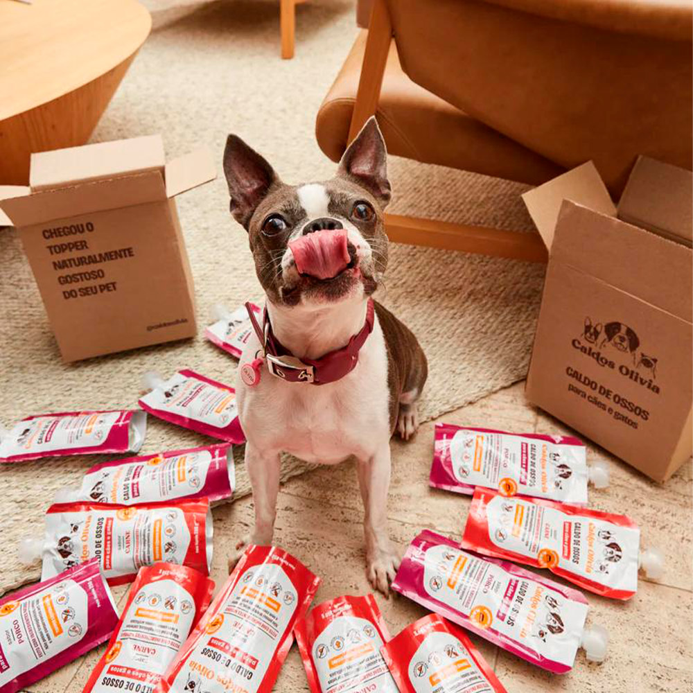 Sachê Caldos Olivia Sabor Porco para Cães e Gatos 250 ml Sachê Caldos Olivia Sabor Porco para Cães e Gatos 250 ml