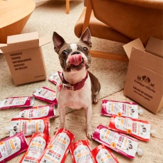 Sachê Caldos Olivia Sabor Porco para Cães e Gatos 250 ml