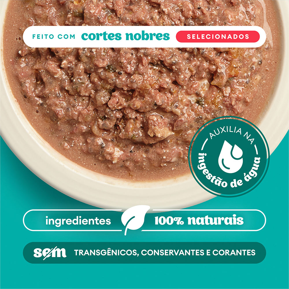 Sachê Natural Pet Delícia Ragu de Carne com Legumes para Cães 80g