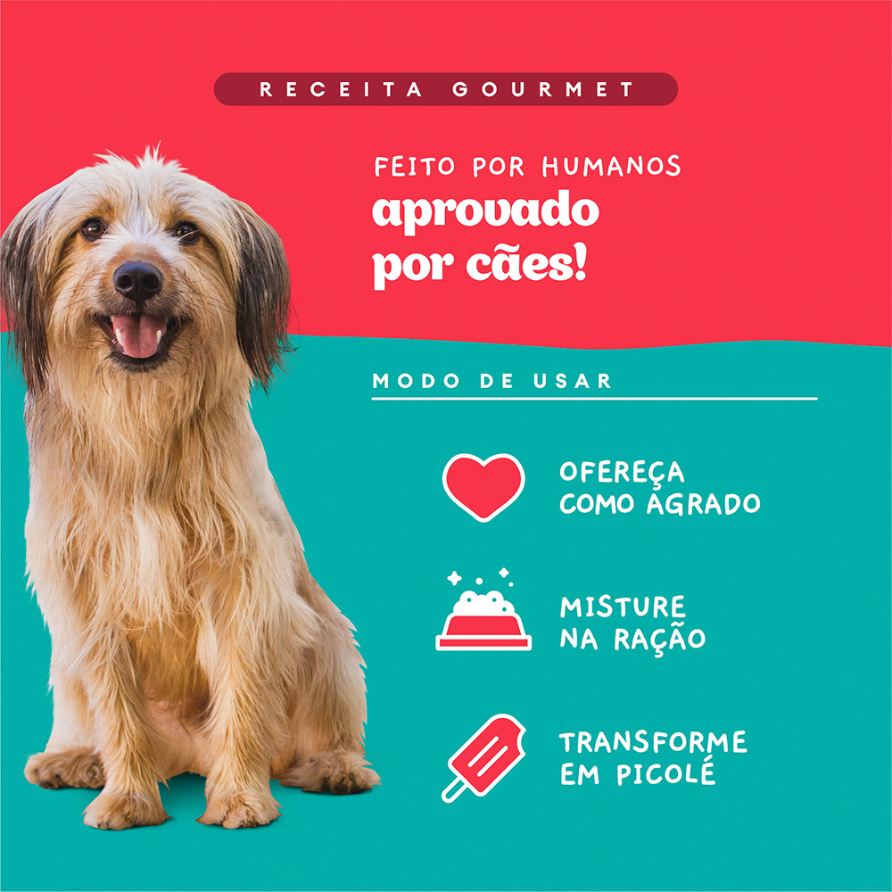 Sachê Natural Pet Delícia Ragu de Carne com Legumes para Cães 80g