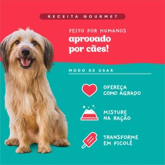 Sachê Natural Pet Delícia Ragu de Carne com Legumes para Cães 80g