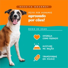 Sachê Natural Pet Delícia Ragu de Frango com Legumes para Cães 80g