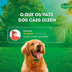 Ração Úmida Dog Chow Nutrição Reforçada para Cães Adultos Sabor Cordeiro em Filetes com Arroz 85 g