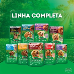 Ração Úmida Dog Chow Nutrição Reforçada para Cães Adultos Sabor Cordeiro em Filetes com Arroz 85 g