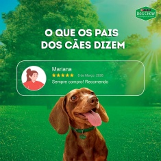 Ração Úmida Dog Chow Nutrição Reforçada para Cães Adultos Sabor Frango em Filetes com Arroz 85 g