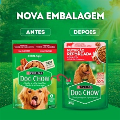 Ração Úmida Dog Chow Nutrição Reforçada para Cães Adultos Sabor Carne em Filetes com Arroz 85 g