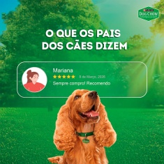Ração Úmida Dog Chow Nutrição Reforçada para Cães Adultos Sabor Carne em Filetes com Arroz 85 g