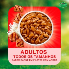 Ração Úmida Dog Chow Nutrição Reforçada para Cães Adultos Sabor Carne em Filetes com Arroz 85 g