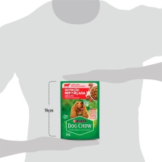 Ração Úmida Dog Chow Nutrição Reforçada para Cães Adultos Sabor Carne em Filetes com Arroz 85 g