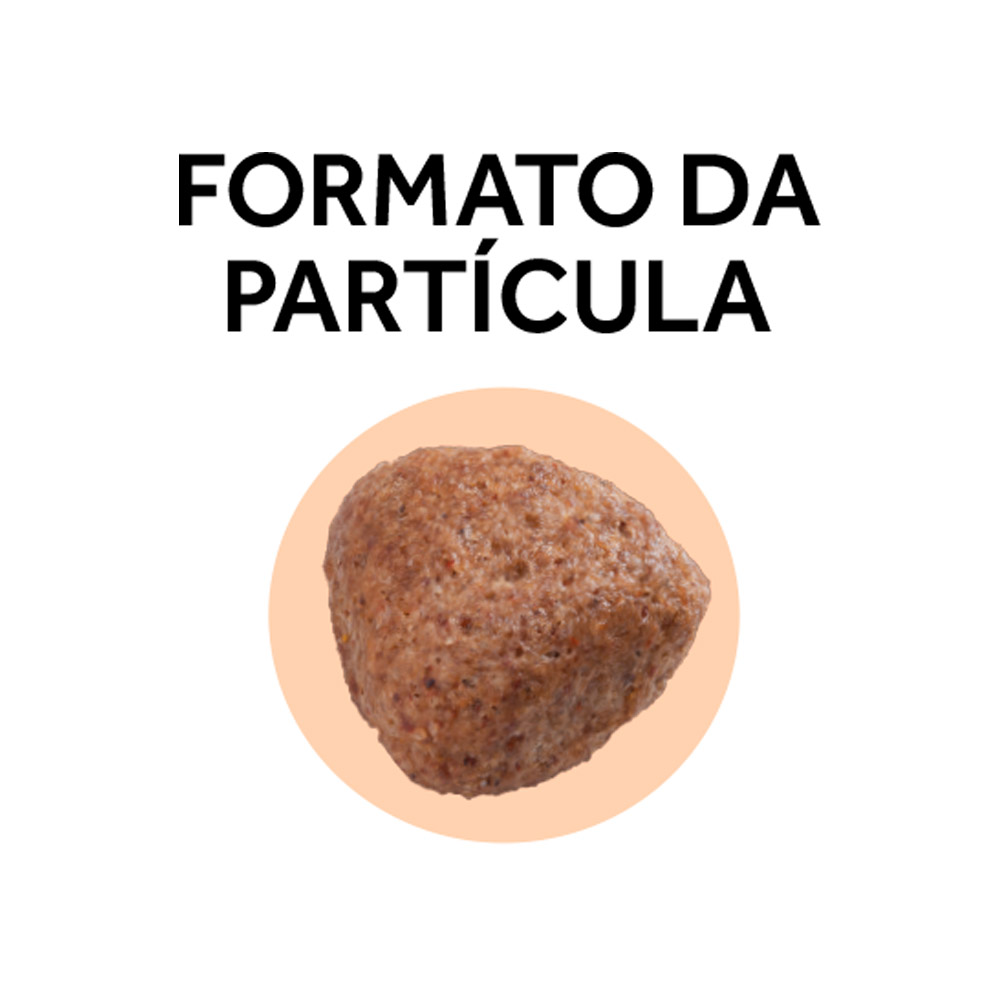 Ração GranPlus Gourmet para Cães Adultos de Médio e Grande Porte Sabor Salmão e Frango 10,1kg