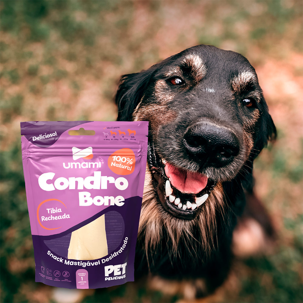 Osso Umami Condro Bone para Cães 2 Unidades