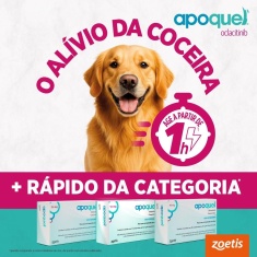 Apoquel Zoetis Dermatológico para Cães 5,4 mg