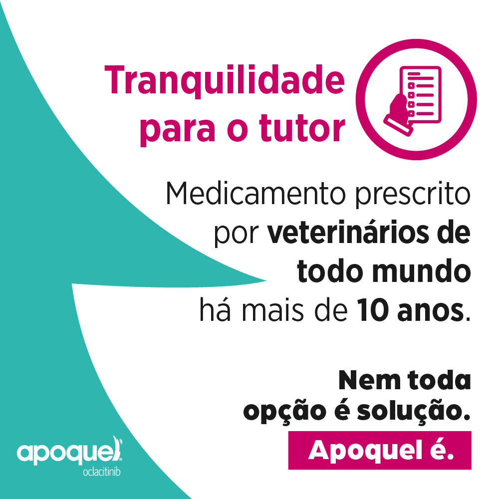 Apoquel Zoetis Dermatológico para Cães